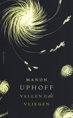 vallen-is-als-vliegen Manon Uphoff, helend lezen, helend schrijven, vallen is als vliegen